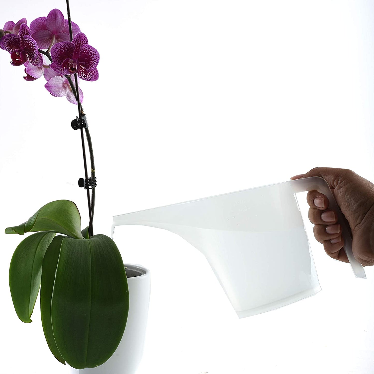 Norpro Funnel Pitcher 2 Cup - Home Gadgets