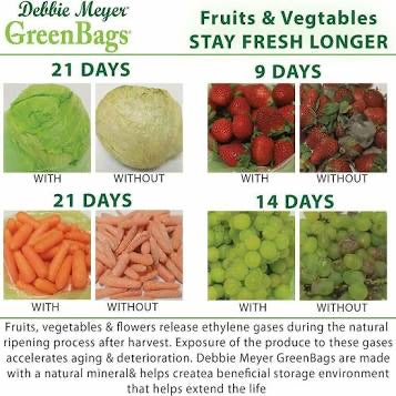 Debbie Meyer Green Bags - Home Gadgets