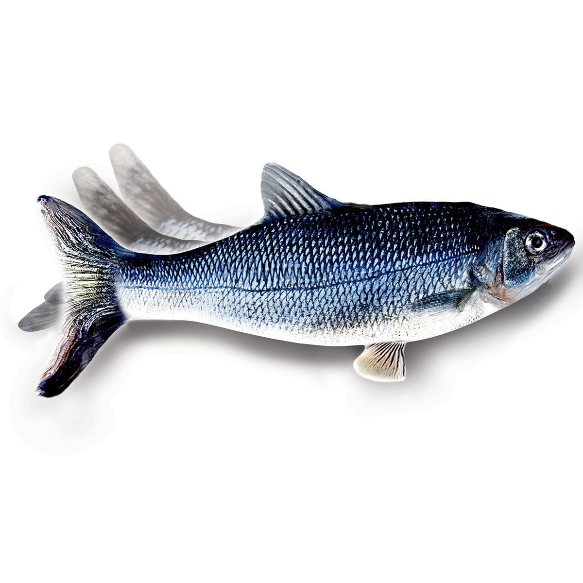 Flippity Fish - Home Gadgets