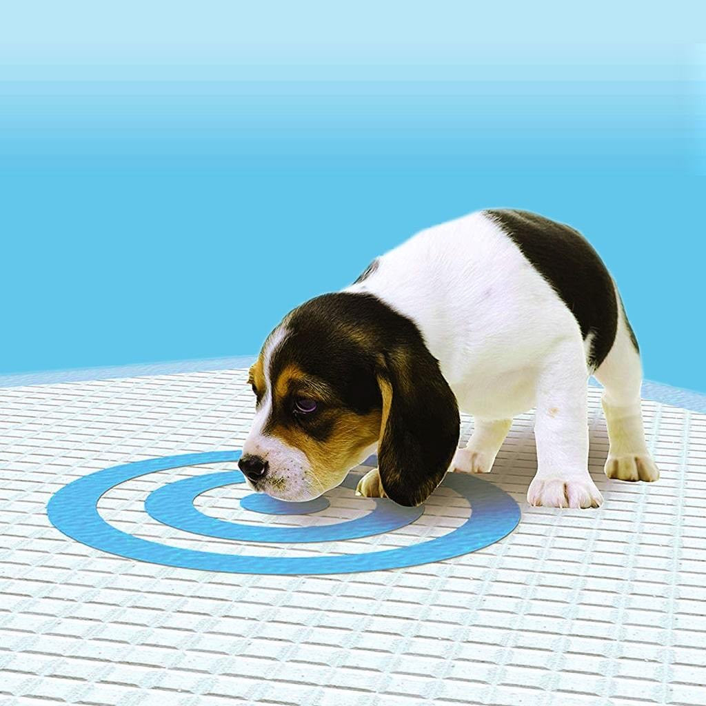 Bullseye Pee Pads - Home Gadgets