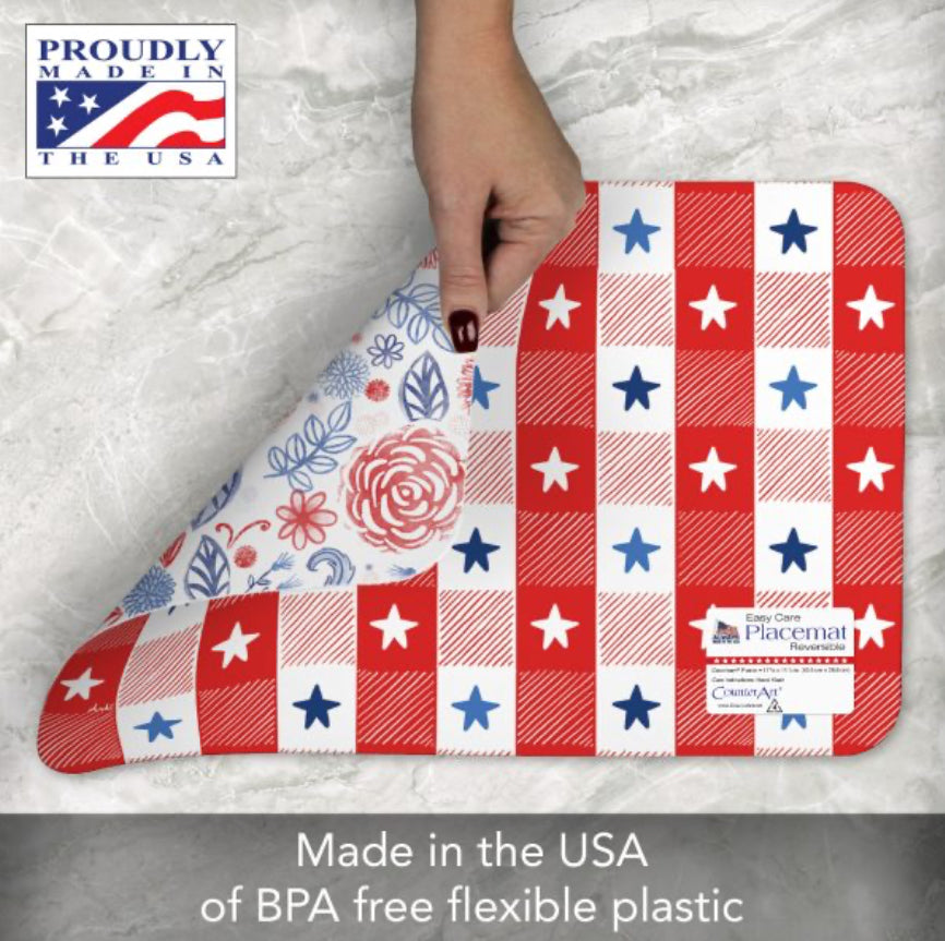 Patriotic Picnic Reversible Placemat