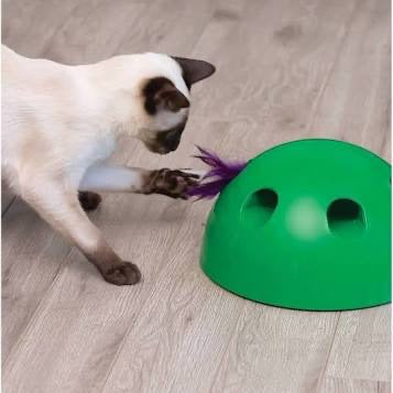 Pop N Play Cat Toy - Home Gadgets